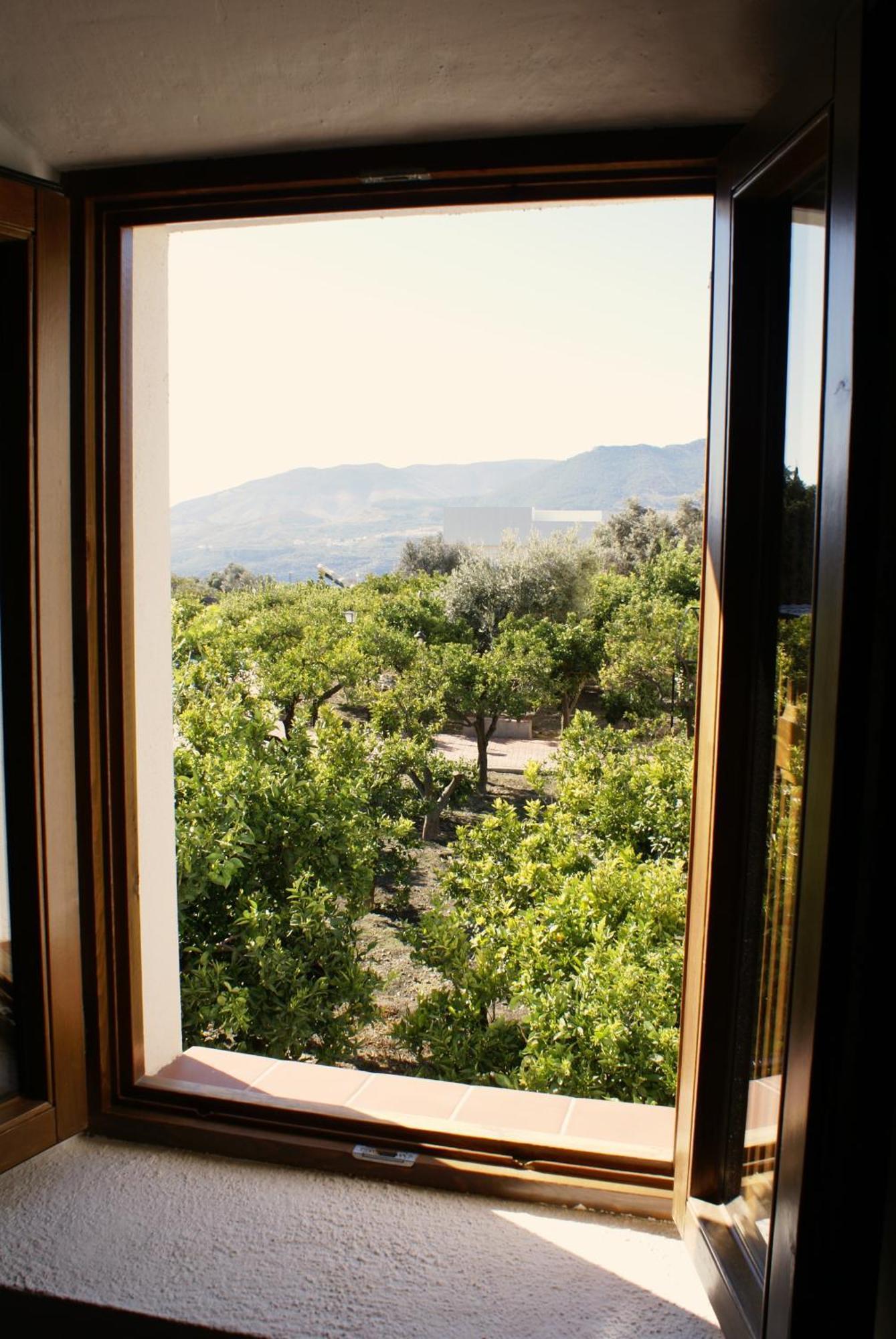 La Canota 2-Floors King Rooms Adults Only Talara Room photo